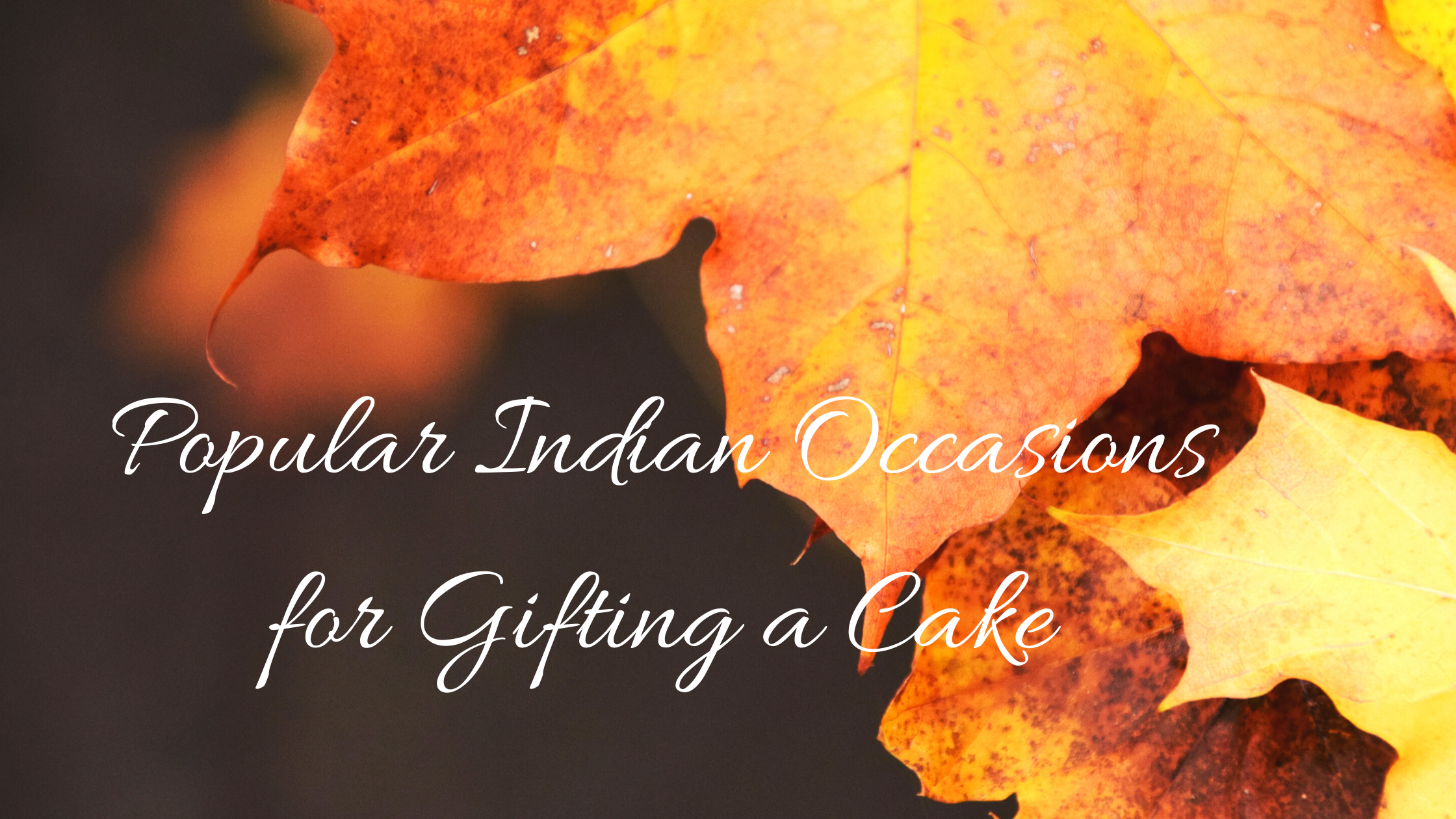 Popular Indian Occasions for Gifting a Cake