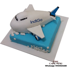 Aeroplane Birthday Cake - The Cake King